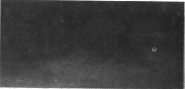 1617097673956831.jpg src=http_%2F%2Fimg.nbchao.com%2Fupload%2Feditor%2Fimage%2F20160810%2F1470798686275090949.jpg&refer=http_%2F%2Fimg.nbchao.jpg