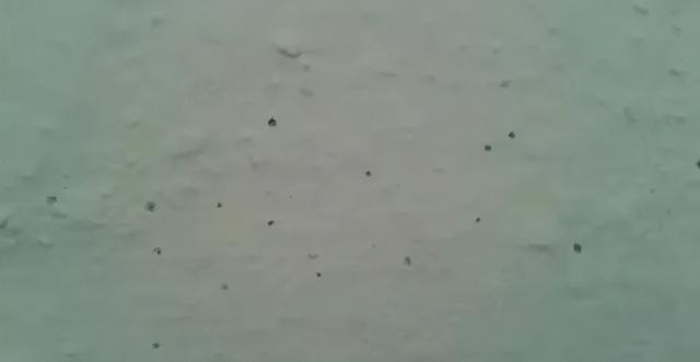 1617156970681073.jpg src=http_%2F%2Fnimg.ws.126.net%2F_url=http%3A%2F%2Fdingyue.ws.126.net%2F2021%2F0313%2F6d20c572j00qpwewn0007c000hs0097c.jpg&thumbnail=650x2147483647&quality=80&type=jpg&refer=http_%2F%2Fnimg.ws.126.jpg