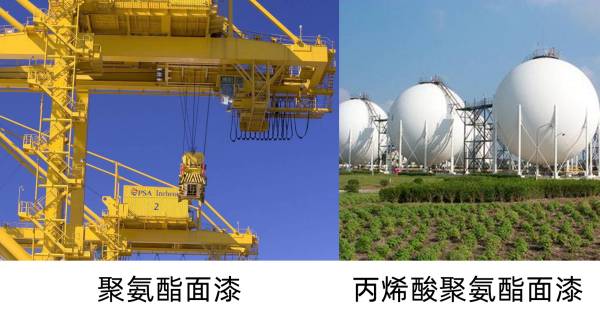 1619338859375801.jpg WPS图片-修改尺寸.jpg