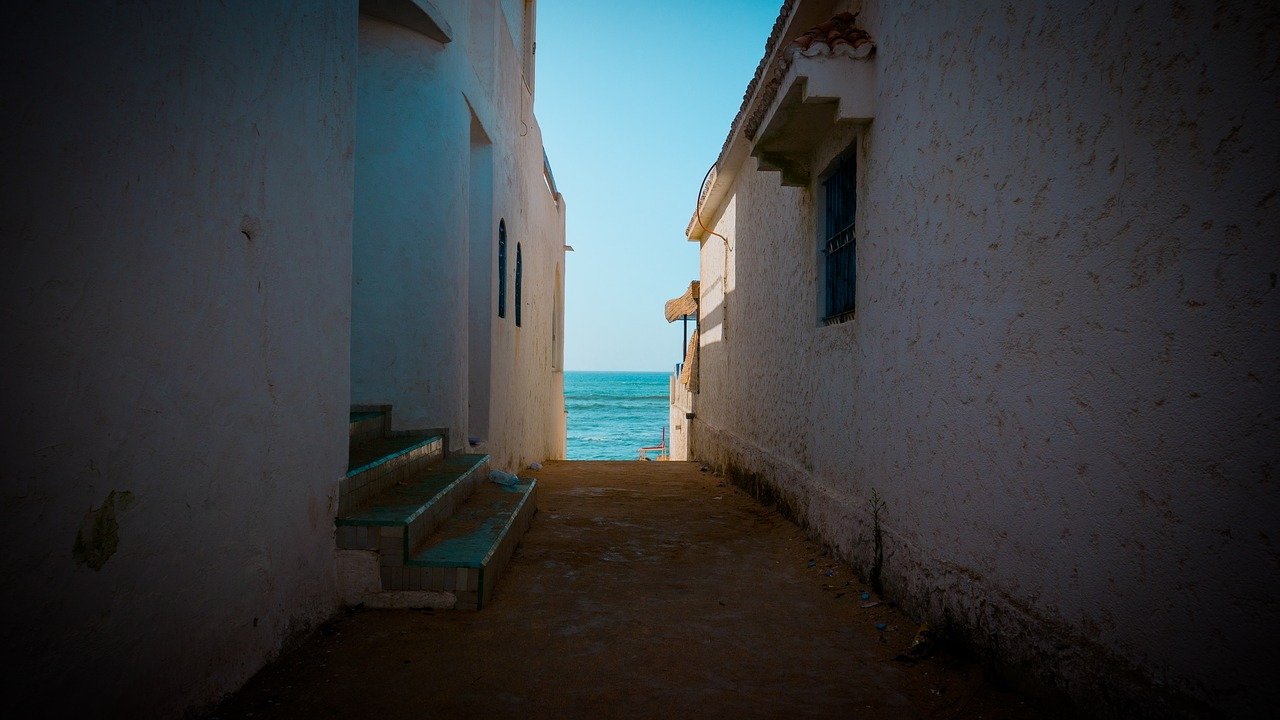 1629343159520266.jpg 3.jpg