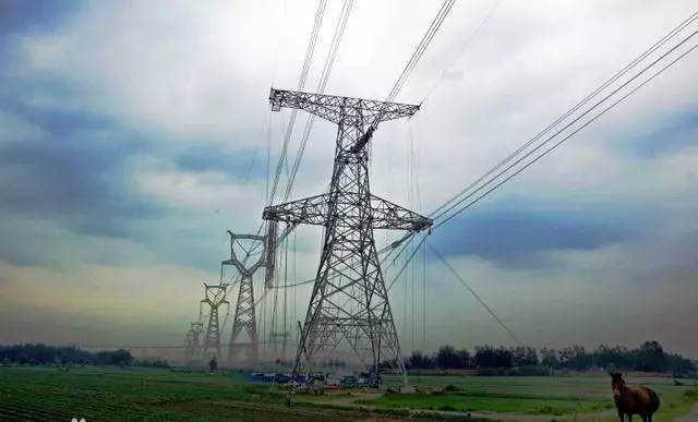 1630034935596912.jpeg 3.jpeg