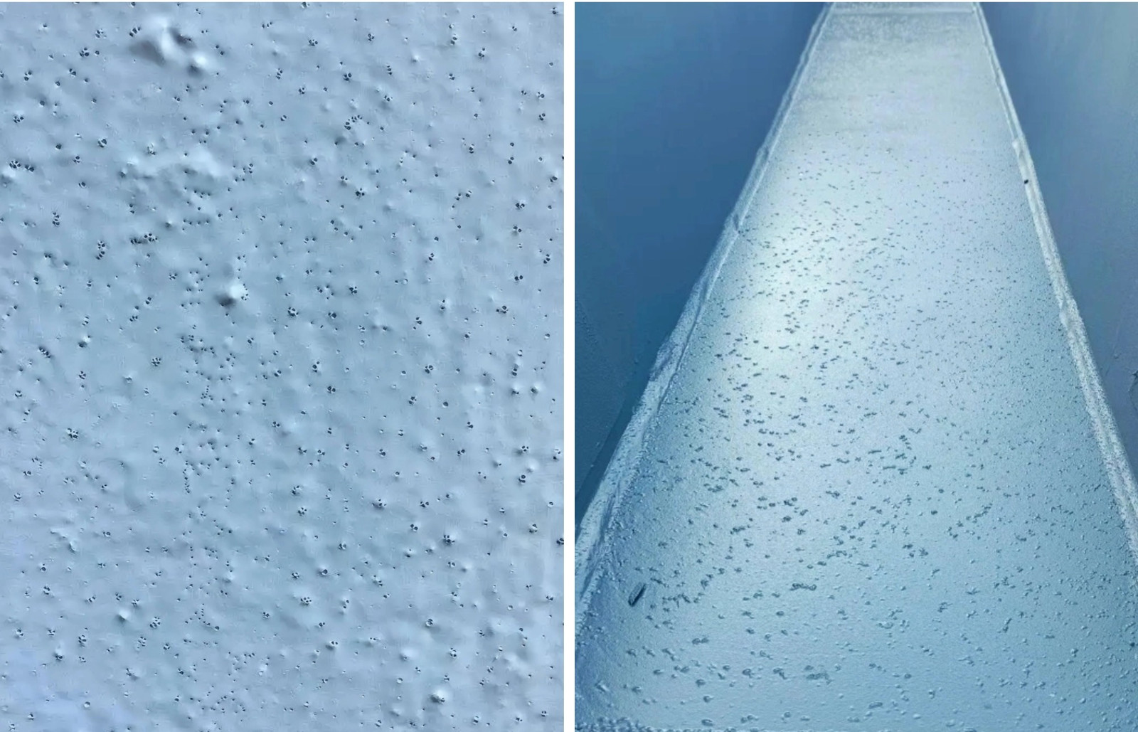 漆膜缺陷-针孔气泡 漆膜缺陷-针孔气泡